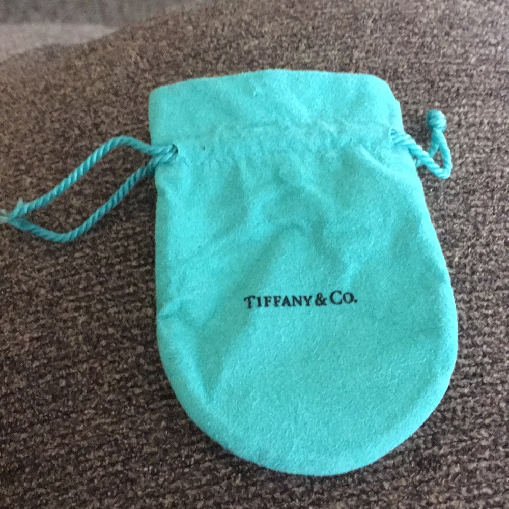Tiffany & Co pouch